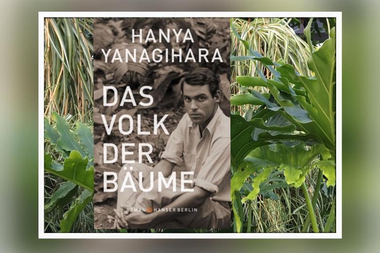Hanya Yanagihara - Das Volk der Bäume